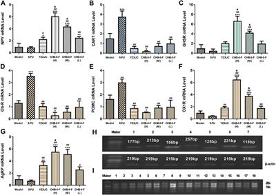 The Ciji-Hua’ai-Baosheng II Formula Attenuates Chemotherapy-Induced Anorexia in Mice With H22 Hepatocellular Carcinoma